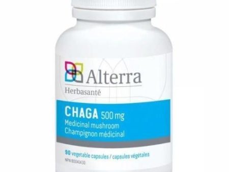 Alterra - chaga 500mg - 90 caps Hot on Sale