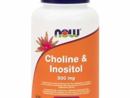 Now - choline & inositol 500 mg - 100 vcaps on Sale