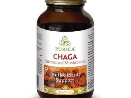 Purica - chaga : micronized mushrooms (antioxydant) Discount