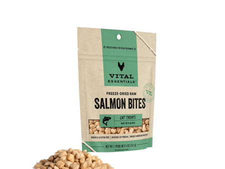 Vital Essentials Vital Cat Freeze Dried Grain Free Wild Alaskan Salmon Cat Treats Fashion