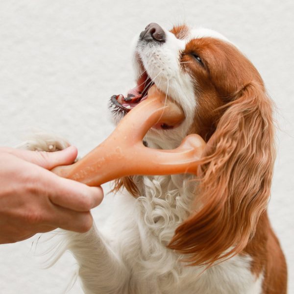 Benebone Chicken Wishbone Supply