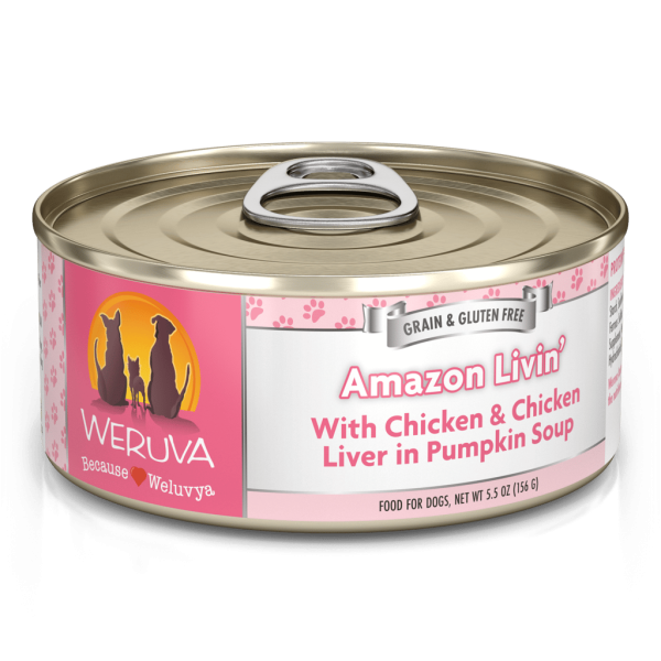 Weruva Amazon Livin  with Chicken & Chicken Liver in Pumpkin Soup Canned Dog Food on Sale