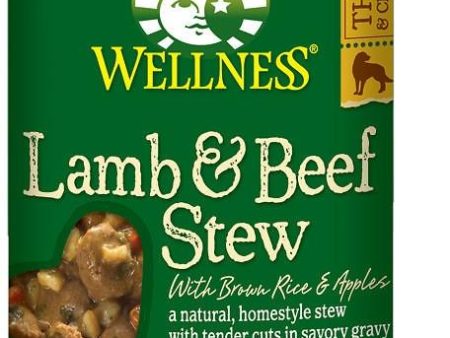 Wellness Natural Lamb and Beef Stew with Brown Rice and Apples Wet Canned Dog Food For Cheap