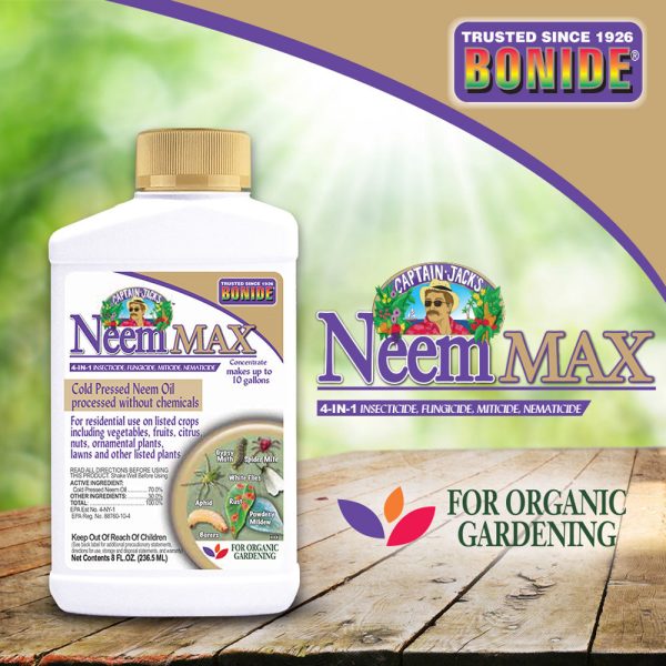 Bonide Captain Jack’s Neem Max Conc Online