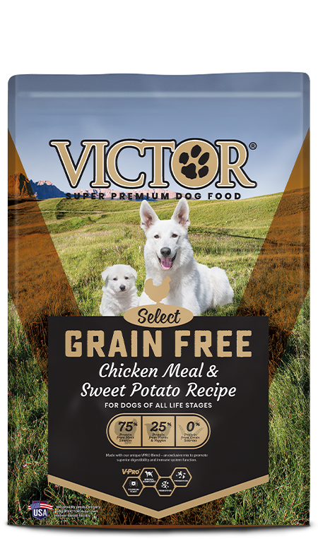 Victor Pet Grain Free Chicken Meal & Sweet Potato Recipe For Discount