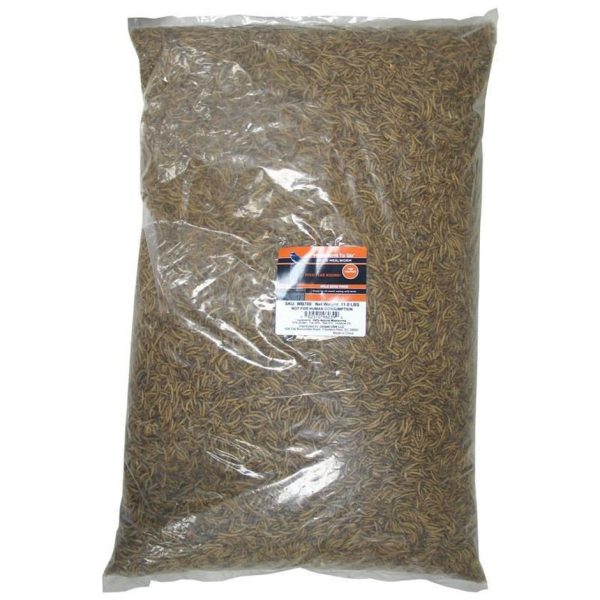 Unipet Mealworm To Go Dried Mealworms Wild Bird Food Online