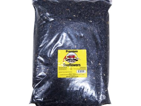 Walnut Creek Foods BIRD FOOD - PREMIUM OIL SUNFLOWER Fashion