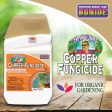 Bonide Liquid Copper Fungicide Concentrate Hot on Sale