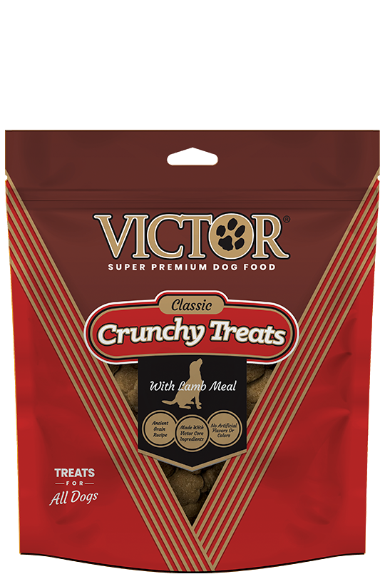 Victor Crunchy Dog Treats with Lamb Meal Online