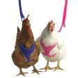 Valhoma Chicken Harness Cheap