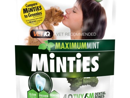 VetIQ® Minties® Dog Dental Bone Treats Fashion