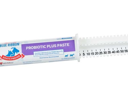 Blue Ribbon Goats Prefer Probiotic Plus Paste Supply