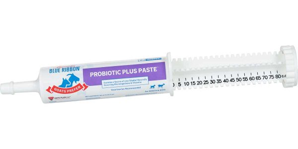 Blue Ribbon Goats Prefer Probiotic Plus Paste Supply