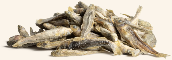 Vital Essentials Freeze Dried Raw Minnows Dog Treats For Sale