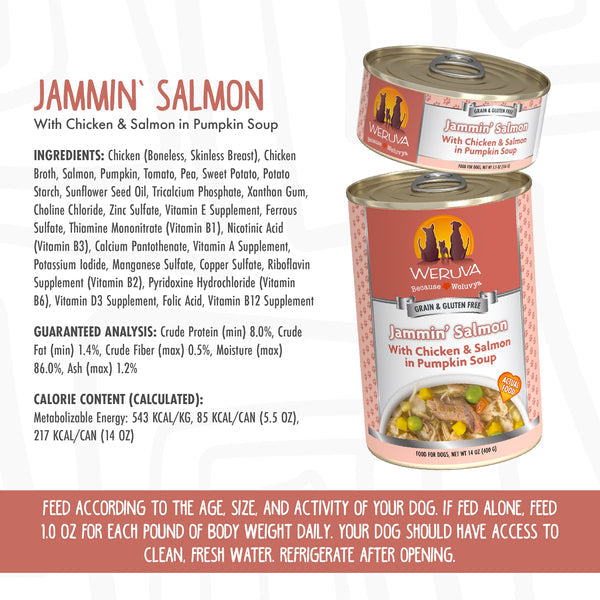 Weruva Jammin’ Salmon with Chicken & Salmon in Pumpkin Soup Dog Food For Cheap