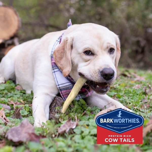 Barkworthies All Natural Mega Cow Tail Dog Chew Supply