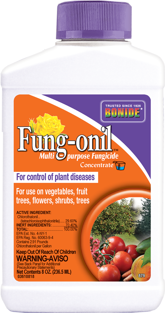 Bonide Fung-onil® Conc Sale