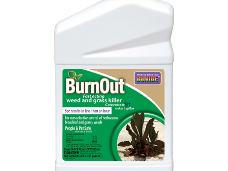 BONIDE BURNOUT WEED & GRASS KILLER CONCENTRATE 1 QT Sale