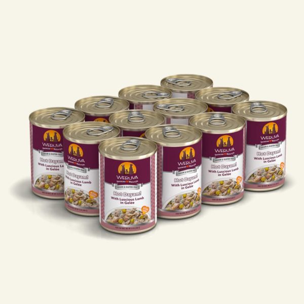 Weruva Hot Dayam! with Luscious Lamb in Gelée Canned Dog Food Supply