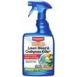 BioAdvanced Lawn Weed & Crabgrass Killer, 24-oz. Fashion