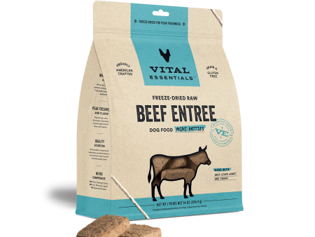 Vital Essentials Freeze-Dried Raw Beef Entrée Mini Patties Dog Food Fashion