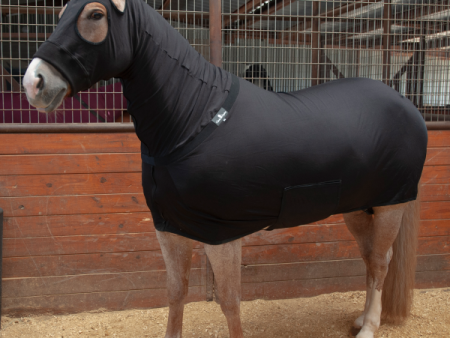 Classic Equine Full-Body Slinky Cheap