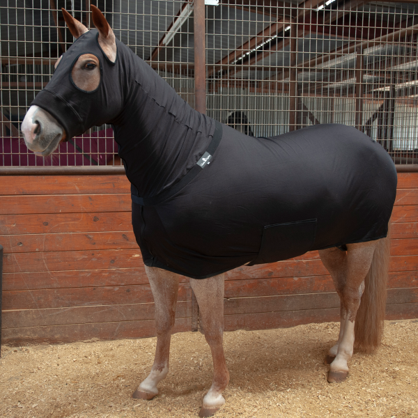 Classic Equine Full-Body Slinky Cheap