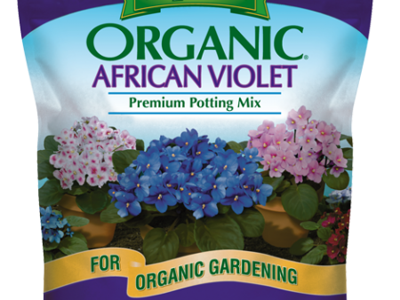 African Violet Mix For Cheap