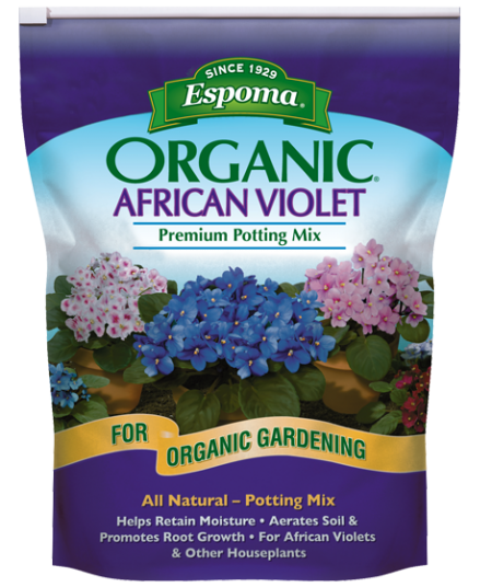 African Violet Mix For Cheap