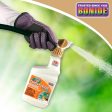 Bonide Liquid Copper Fungicide Ready-to-Spray Online now