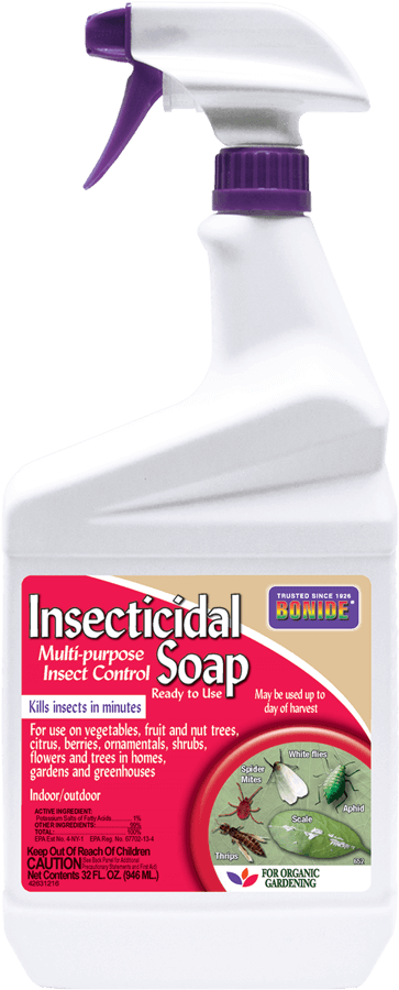 Bonide Insecticidal Soap Online Sale