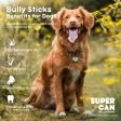 Supercan 6  Standard Bully Sticks Cheap