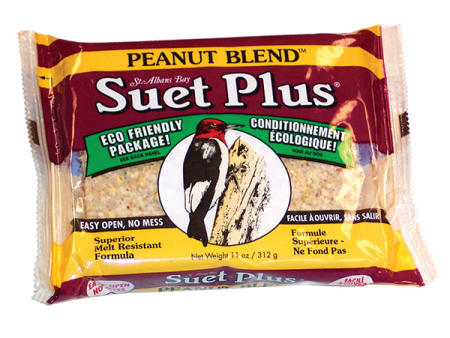 Wildlife Sciences Suet Plus Peanut Blend Suet Online