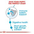 Royal Canin Medium Puppy Dry Dog Food Online Sale