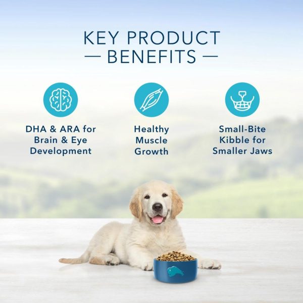 Blue Buffalo Life Protection Natural Chicken & Brown Rice Recipe Puppy Dry Dog Food For Discount