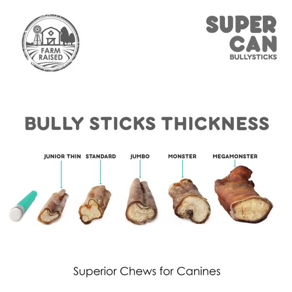 Supercan 6  Standard Bully Sticks Cheap