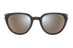 Bex Lind Tortoise Brown Brown Silver Online Sale