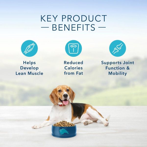 Blue Buffalo Life Protection Healthy Weight Natural Chicken & Brown Rice Recipe Adult Dry Dog Food Supply