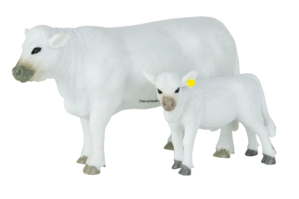 Big Country Toys Charolais Cow Calf Set For Sale