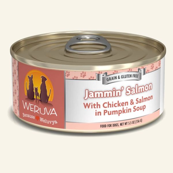 Weruva Jammin’ Salmon with Chicken & Salmon in Pumpkin Soup Dog Food For Cheap