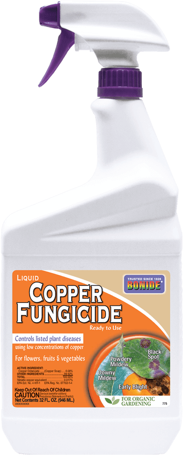 Bonide Captain Jack’s Liquid Copper Fungicide Ready-to-Use For Cheap