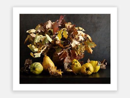 Autumn Still Life 03 For Sale