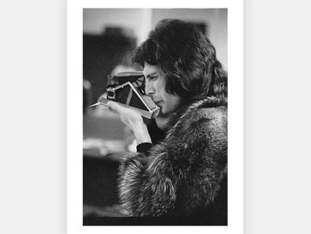 Freddie In Furs on Sale