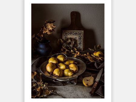 Autumn Still Life 04 Online now