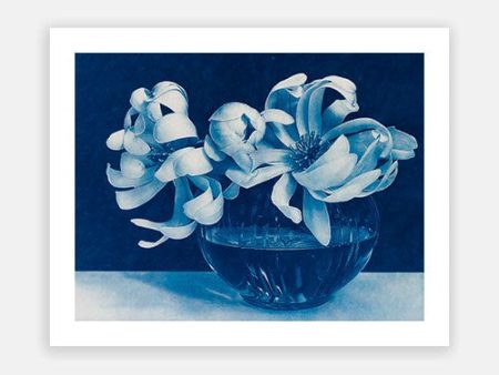 Blue Magnolias in Vase Supply