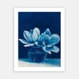 Sweet Blue Magnolias For Discount