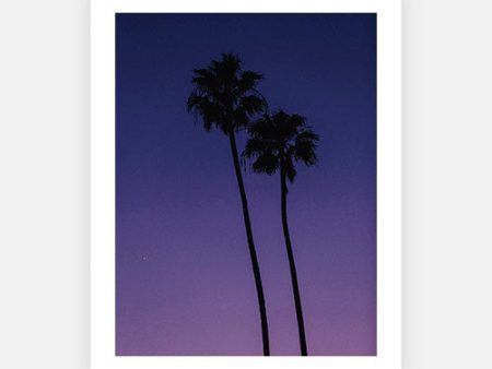 Twin Purple Palms Online