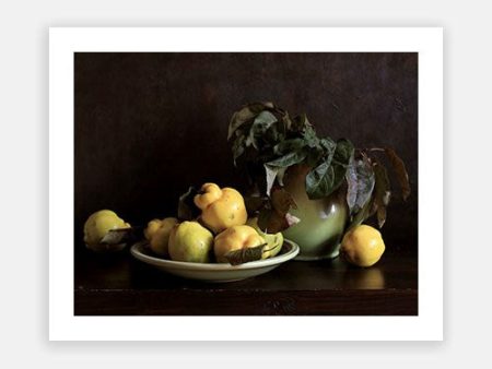 Autumn Still Life 02 Online Sale