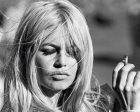 Brigitte Bardot 1 Hot on Sale