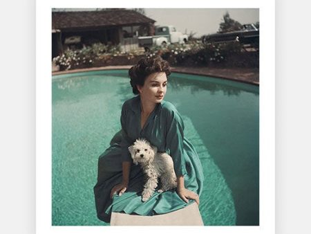 Actor Jean Simmons - Clearance on Sale